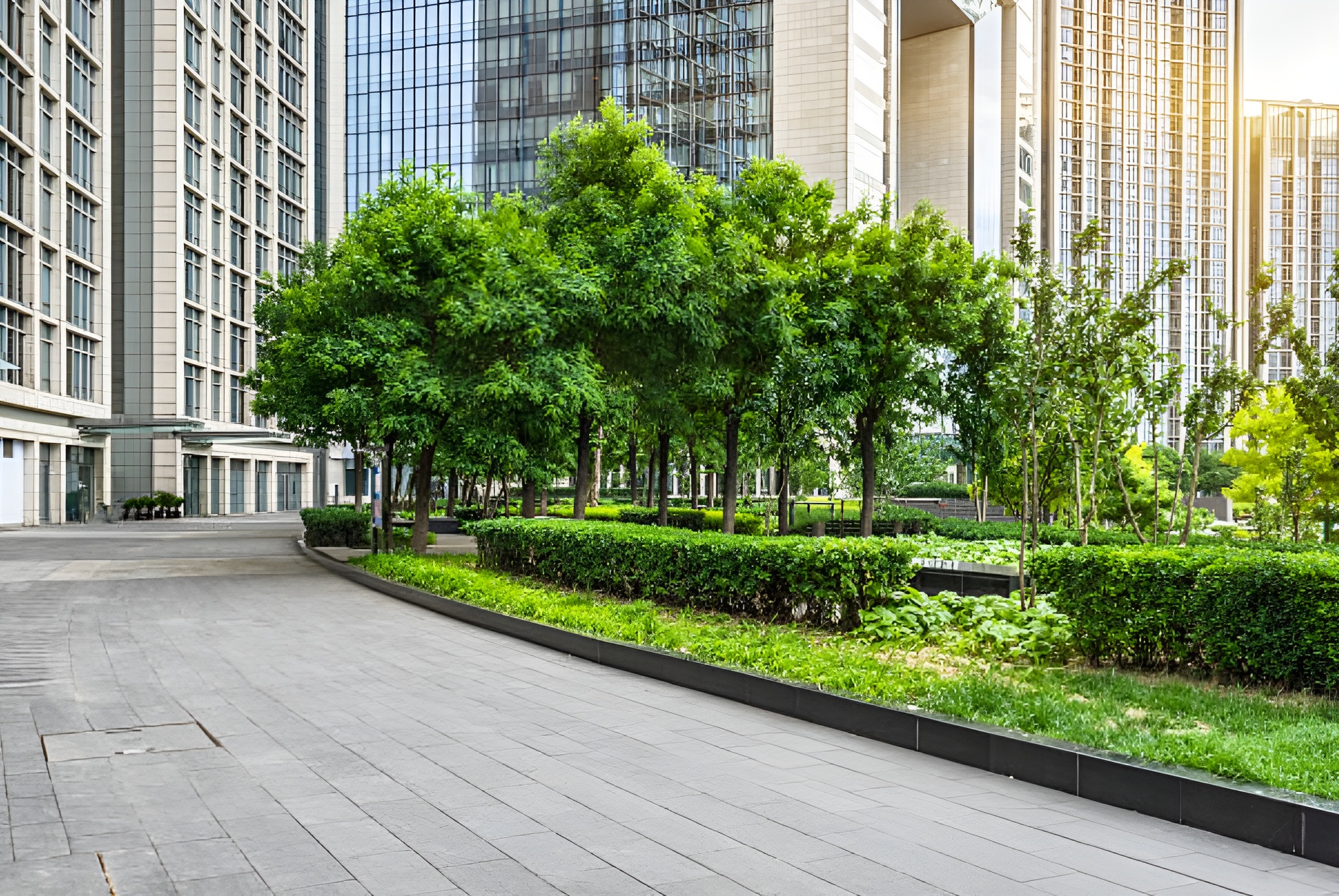 Commercial Lawn Care Greenery - Best Outdoor Service